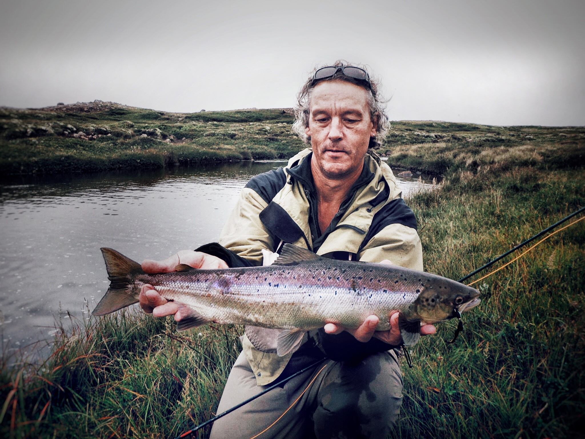 Un Grilse en Islande Pêche au saumon en Islande