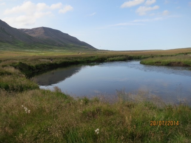 rivière aux ombles de mer en Islande