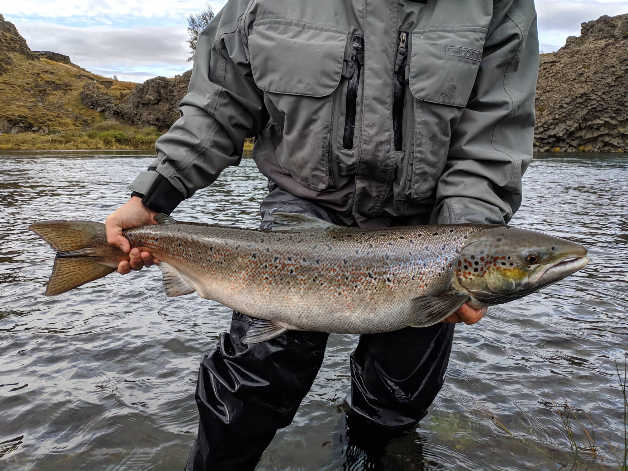Homme tenant un saumon lors d'un tour de pêche à la journée en Islande