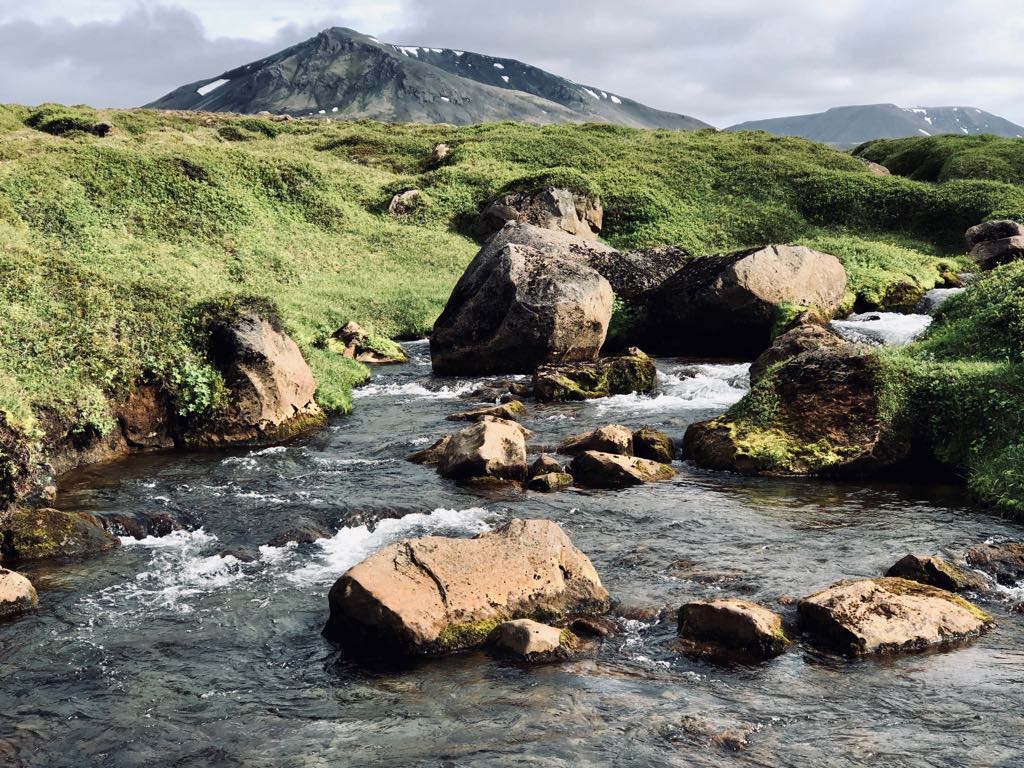 Rivière de langanes Rivière de pêche en Islande dans la plaine du renard polaire