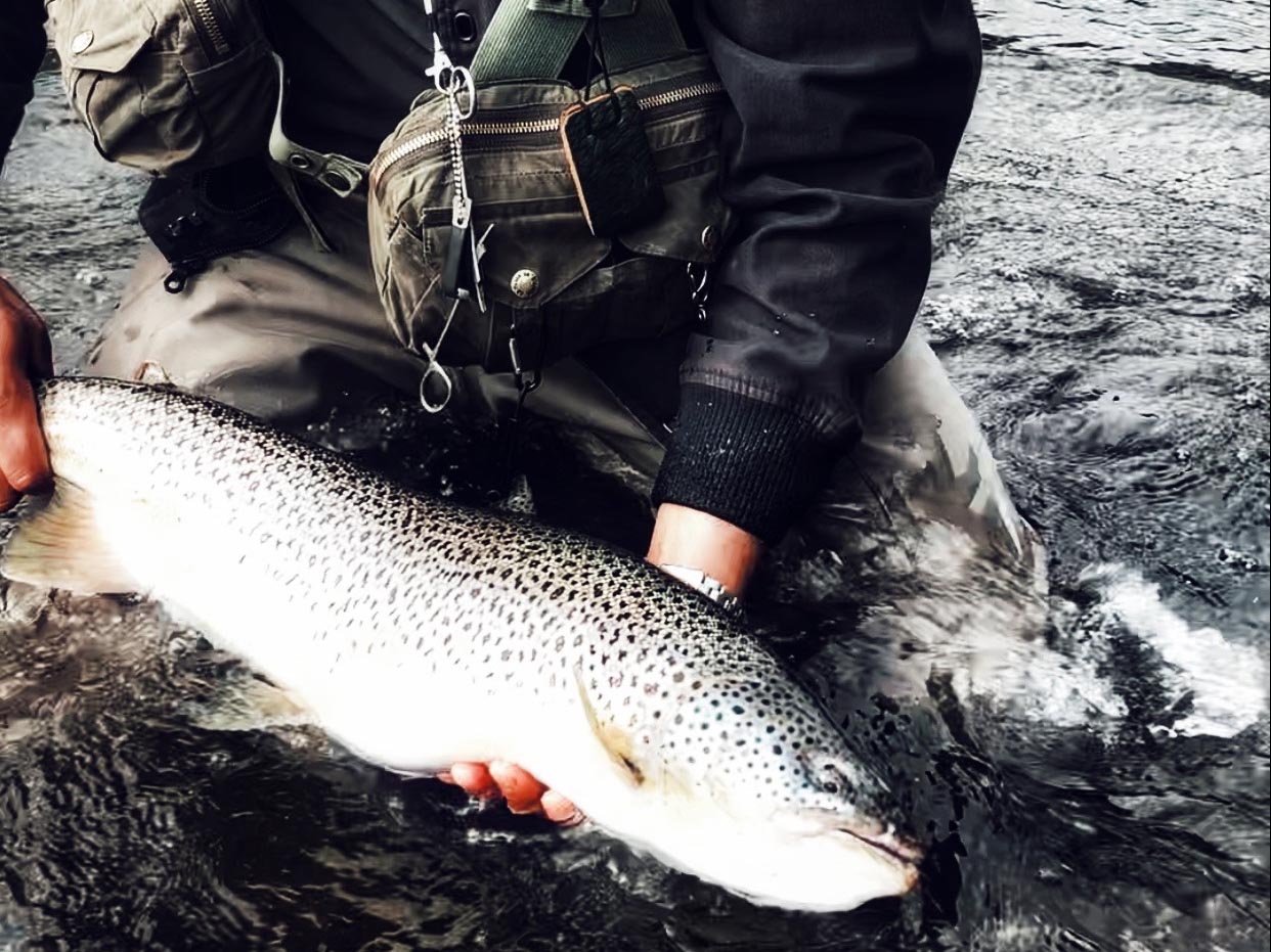 homme tenant un poisson en islande