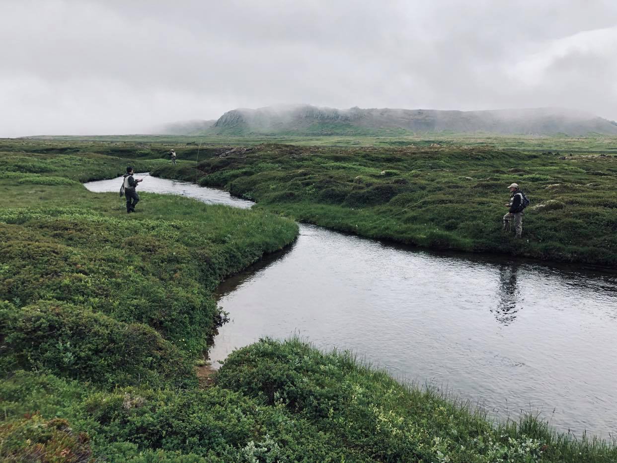 Homme tenant un poisson près d'un lac dans la plaine du renard polaire en Islande