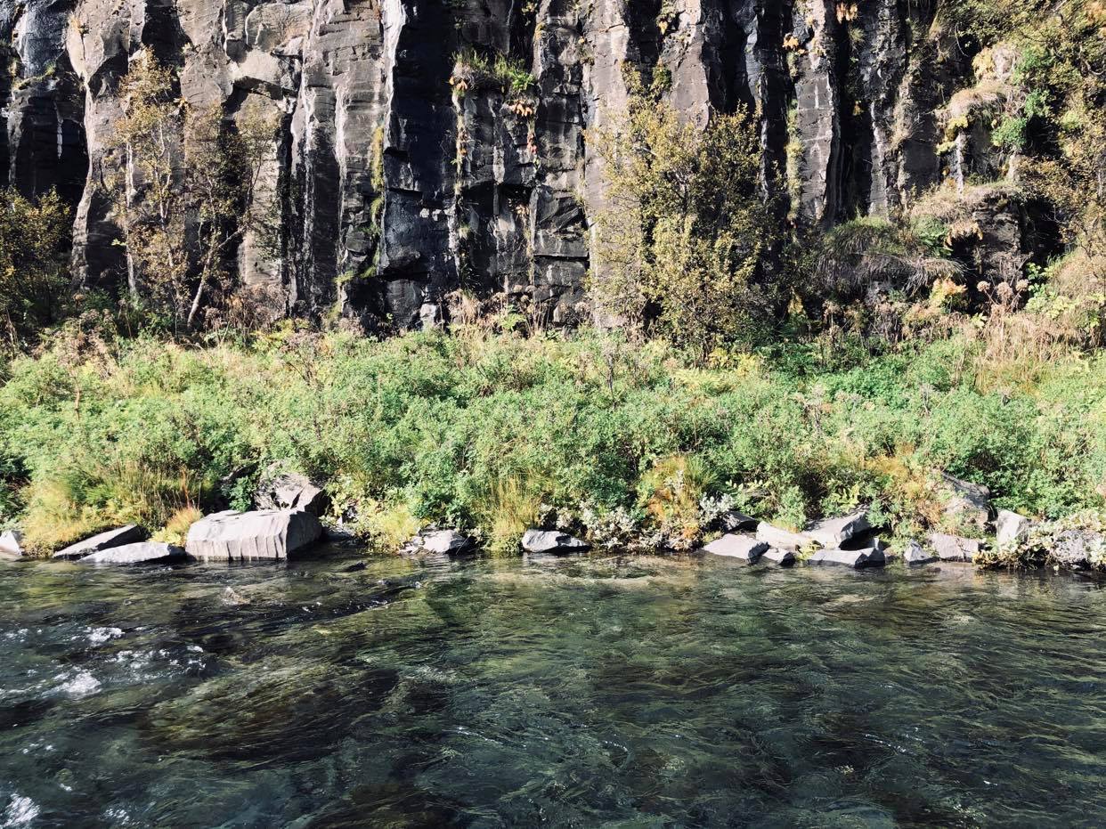 Eau transparente d'une rivière à saumon en Islande